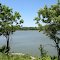 Carter's Landing