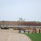 Midland Nursery