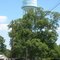Water Tower, Arnaudville, Louisiana