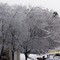 Ice storm 2007