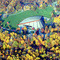 Blossom Music Center Aerial