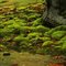 Cuyahoga Valley National Park