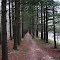 Natures path