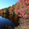 Autumn at the Grist Millpond 1