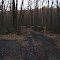 Greens Valley Trail at woods road