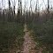 Mid State Trail
