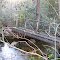 Greens Valley Run crossing on MST