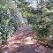 Stillhouse Hollow Road (MST)