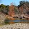 Near Inks Lake State Park, Texas