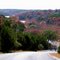 Autumn in Tierra Linda