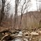 Roaring Run Creek