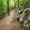 Roaring Run Woodland Trail