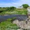 Looking westerly from La Prele Creek at the Sunflower Trail (Converse County Rd. 36) bridge, Douglas, Wyoming
