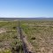 Alongside Wyo. State Hwy. 93, looking south-south-east. Laramie Peak is tall point in far background to right of photo. Douglas, Wyoming