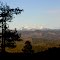 YollyBollys030304a