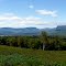 Upper Center Hill Panorama