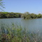 Lake at Hanna Park