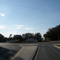 Roads Circle. Live Oak.