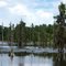Suwannee Lake