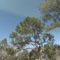 My Live Oak Dish Satellite TV