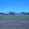 University of Florida Suwanee Valley Research Station