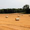New Carlisle Countryside