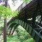 Bluff's Edge Bridge, Lake Forest IL