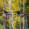 Migration