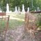 Barkman Cemetary
