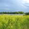 DSC00110p 6/11/06 - Panoramic SW view