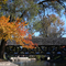 A Sunny Day At Naperville Riverwalk