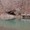 Wolf River near Red Hill