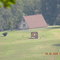 TROOPER ISLAND CAMP INC