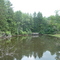 Woodland Pond, Fenner Nature Center