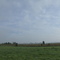 Tannenbaum Farms looking East