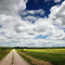 The Back Road