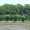 Low bluffs