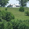 Farm 03