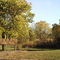 Laurel Park