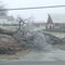 Ice Felled Tree