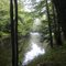 Lamprey River Lamprey River Forest Epping, NH West
