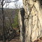 Rock Ledge