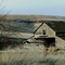 Yellow jacket barn