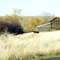 Wheat field extra