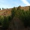 Earth Slide on Pearson Creek