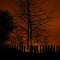 Lights of the sawmill
