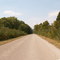 Ohio Forrest
