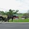 Local transport