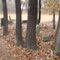 Goodtraveler Cemetery
