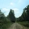 Road 415 Southbound